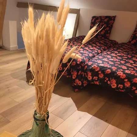 Tatil Evi La Maison Bellec0ur