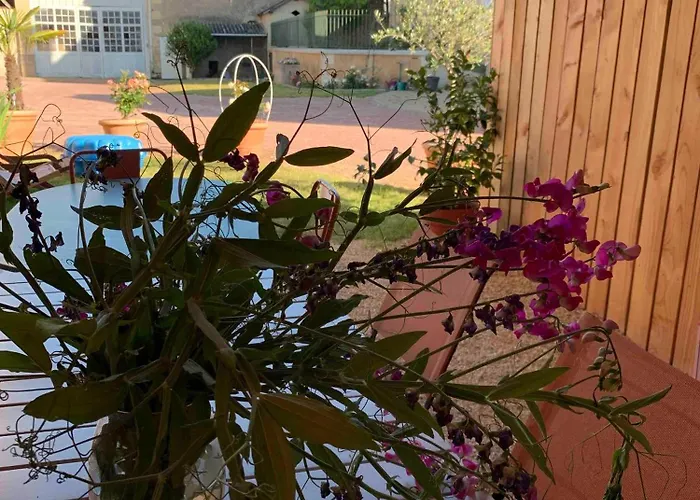 La Maison Bellec0ur Ferienhaus Vaudelnay